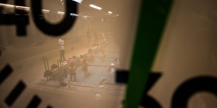 6 Reasons Why Swimmers Make the Best Students