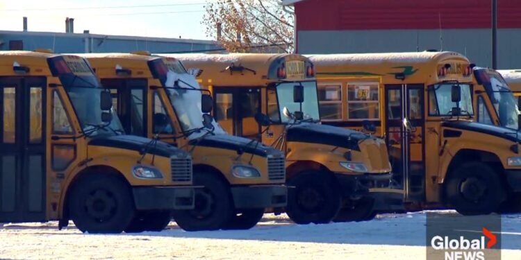 Alberta school bus companies face driver shortages ahead of school year