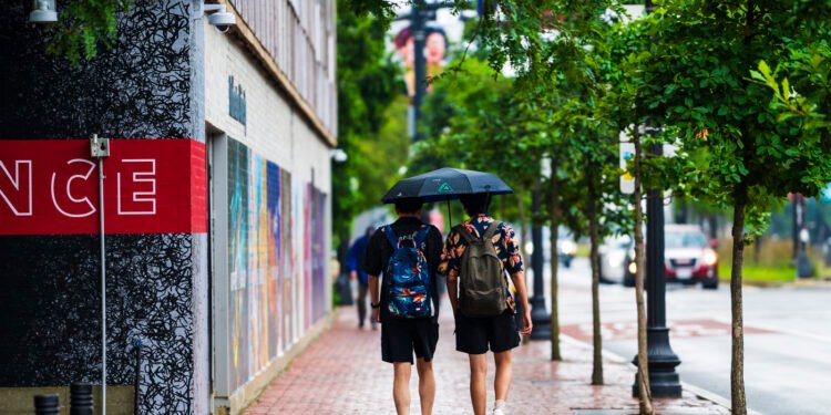 Photos: Rainy days, research and camera poses