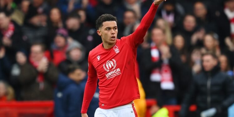 Tottenham and Chelsea to battle it out for Brennan Johnson