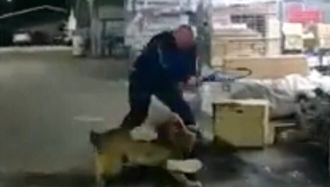 Video shows Daytona officer beating man with tennis racket