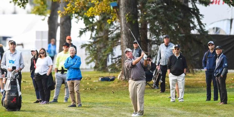 ‘They can’t kill you and eat you out here’