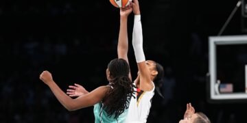 2023 WNBA Playoffs