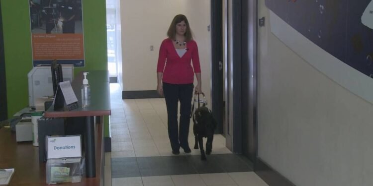 App launched in Calgary to help pedestrians find accessible, barrier-free routes downtown – Calgary