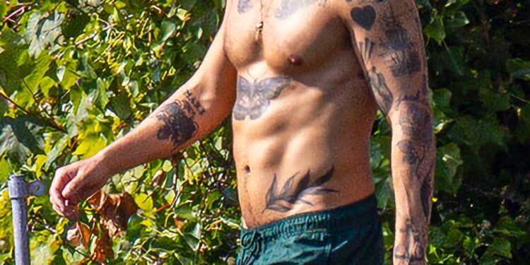 Harry Styles Flashes Toned Abs While Swimming in New Photos