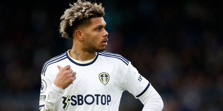 Media reacts to Daniel Farke’s comments on Leeds star