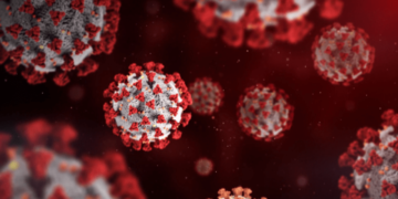 Pfizer’s COVID-19 vaccine for XBB.1.5 subvariant approved in U.K. – National