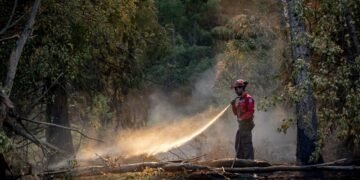 Shuswap region evacuees will soon be allowed to visit damaged, lost homes