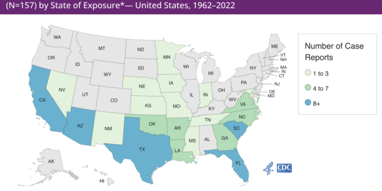 Texas has the most ‘brain-eating’ amoeba infections in the U.S. Here’s what to know.