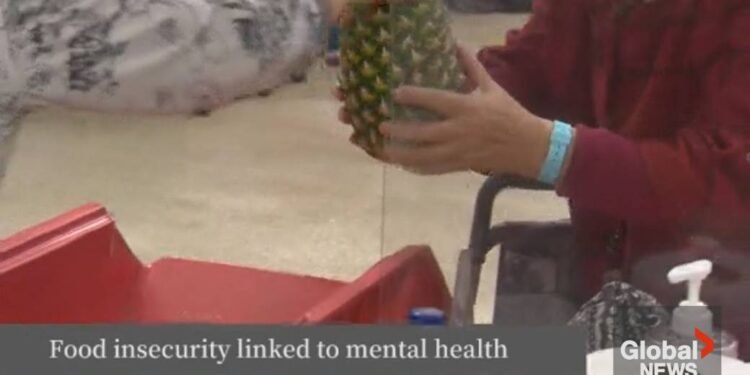 Toronto food bank sees a quarter-million visits in August