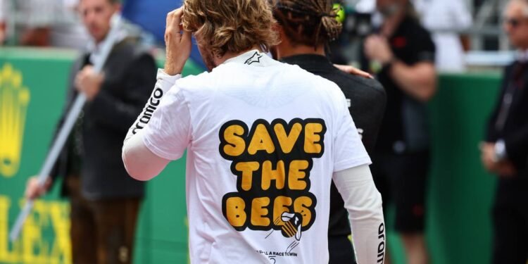 Vettel launches Buzzin' Corner biodiversity project at Suzuka