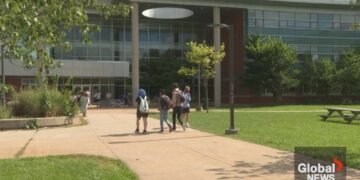 Funding, shortages contributing to abuse of Canada’s education workers: unions – National