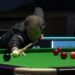 Northern Ireland Open: Jack Lisowski sweeps past Ricky Walden to reach semi-finals, Barry Hawkins downs David Gilbert