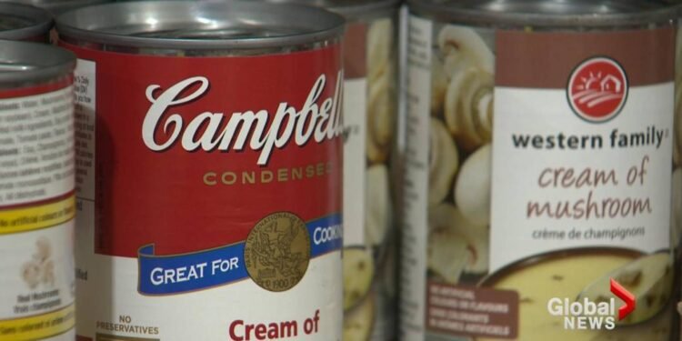 Park Place Mall supporting Lethbridge food banks with rooftop garden – Lethbridge