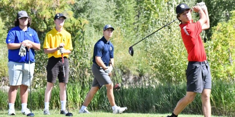 Sailor swings into top 10 at state golf tournament, earns All-State recognition