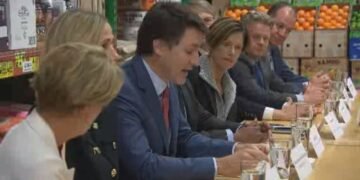 Carbon pricing mention in updated Ukraine trade deal sparks political spat – National