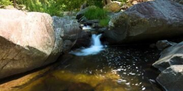 Exploring the Best Swimming Holes in and around North Brisbane