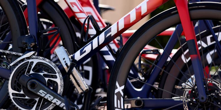 Giant reports 49% fall in profits amid ‘weak demand’