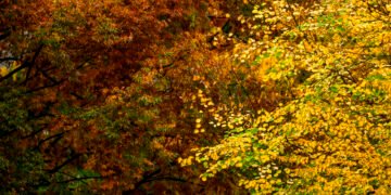 Photos: Halloween, partnership and chilly weather