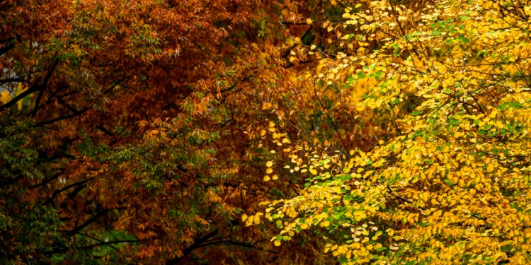 Photos: Halloween, partnership and chilly weather