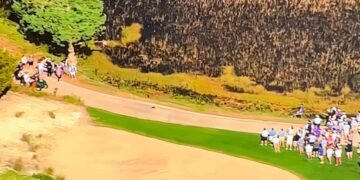 Pro stuns analysts with disastrous play