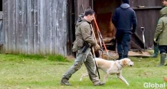 Saskatchewan pays homage to Indigenous veterans on day of reflection