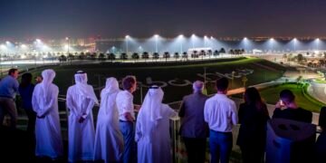 Things to look for at the Formula 1 2023 Abu Dhabi Grand Prix