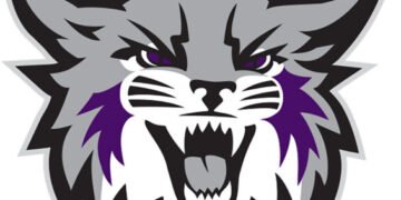 Weber State women’s basketball loses 61-51 to UC Santa Barbara | News, Sports, Jobs