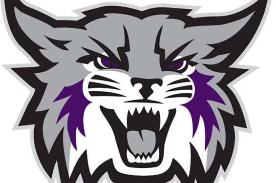 Weber State women’s basketball loses 61-51 to UC Santa Barbara | News, Sports, Jobs