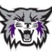 Weber State women’s basketball loses 61-51 to UC Santa Barbara | News, Sports, Jobs