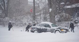 ‘Stand your butt up’: Fistfight at U.S. Senate averted as Bernie Sanders steps in – National