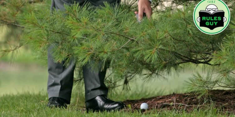 Are you entitled to free relief from a memorial tree on the course?