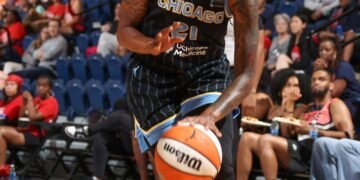 WNBA: Chicago Sky’s Robyn Parks shares her hoops journey