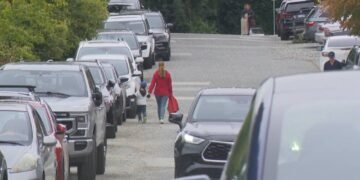 West Vancouver mayor facing probe for election ‘spending irregularities’ – BC