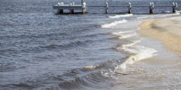 4 NY beaches not recommended for swimming because of E. coli, bacteria