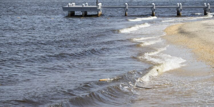 4 NY beaches not recommended for swimming because of E. coli, bacteria