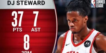 Bulls add guard DJ Steward