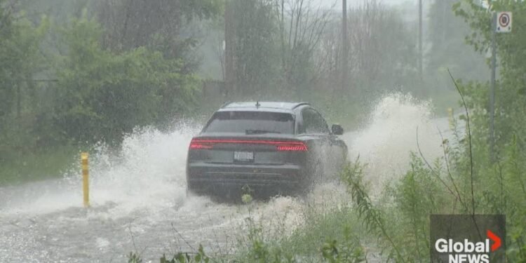 CrowdStrike outage, Toronto floods and Trump’s VP pick: Top stories this week – National