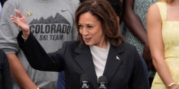 Kamala Harris raises US$81M in 24 hours, smashing donation record – National