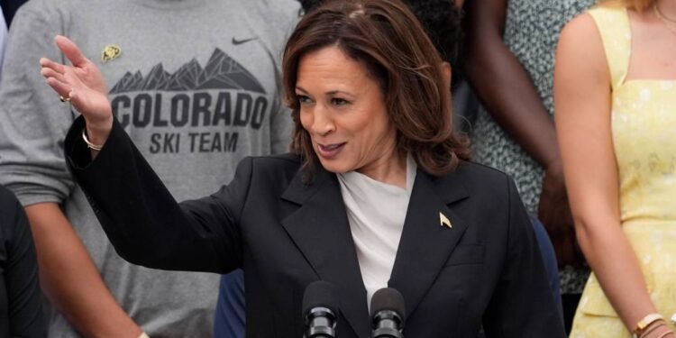 Kamala Harris raises US$81M in 24 hours, smashing donation record – National