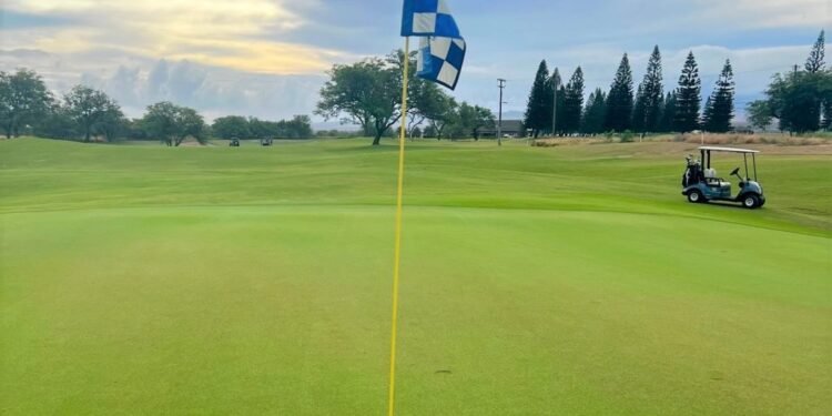 Last day to register for charity golf tournament benefiting Hospice Maui : Maui Now
