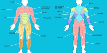 Mastering The Mesmerising Butterfly Stroke