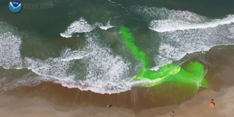 PCB tickets 210 people so far in 2024 for swimming double red in Gulf