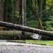 Augusta suffers heavy storm damage but Masters ‘will be held’ – Golf News