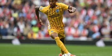 Brighton vs Tottenham: Preview, predictions and lineups