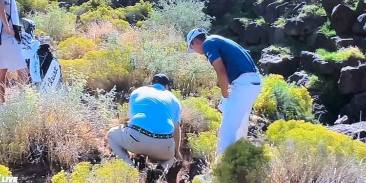 Pro catches ‘all-world break’ after animal decision