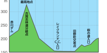 The Final Day, Part 2: Japan Cup LIVE!