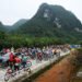 Tour of Guangxi stage 3 temporarily paused after mass crash