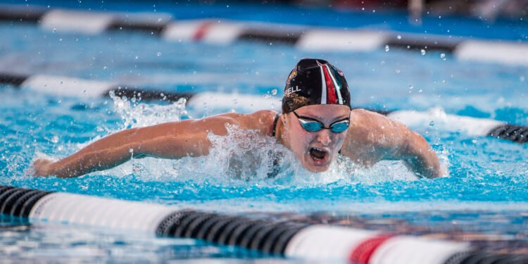 4 Signs that the Butterfly Life Has Chosen You