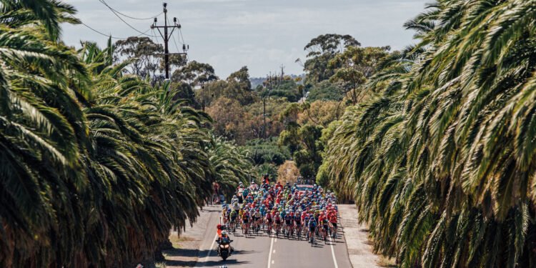 GC showdown on Willunga at Tour Down Under stage 5 – LIVE